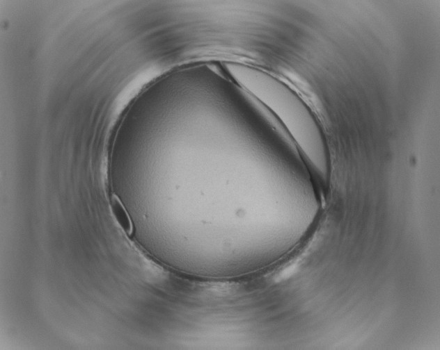 X0000088631188200706081539
