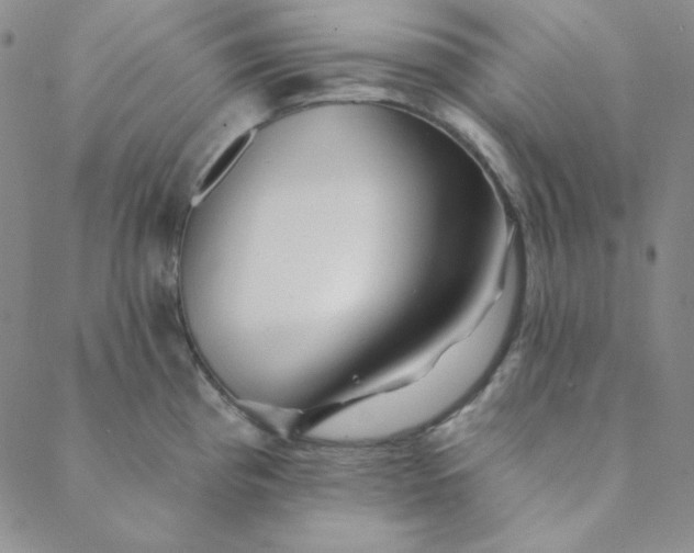 X0000088631193200706081539