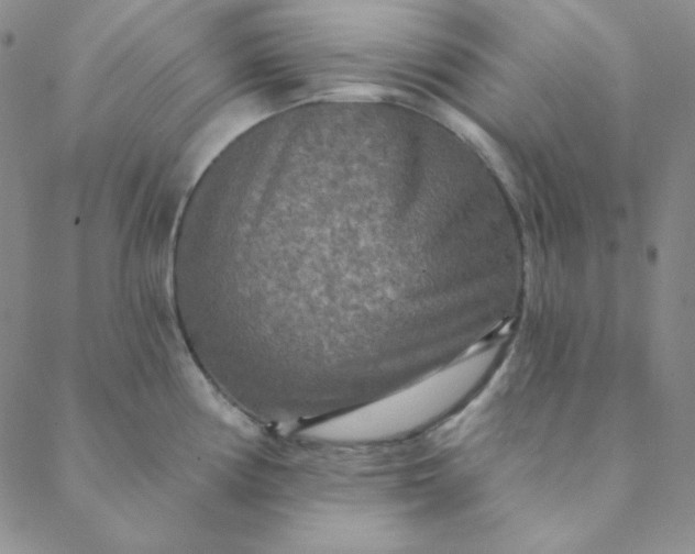 X0000088631194200706081539