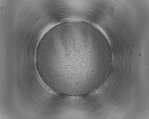 X0000088631195200706081539