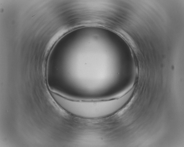 X0000088631196200706081539