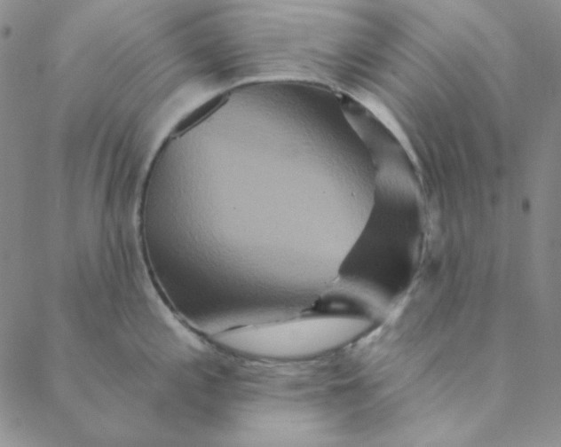 X0000088631197200706081539