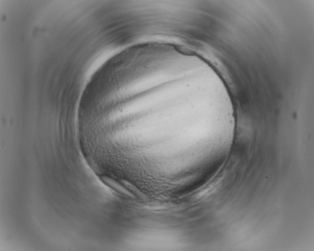 X0000088631199200706081539
