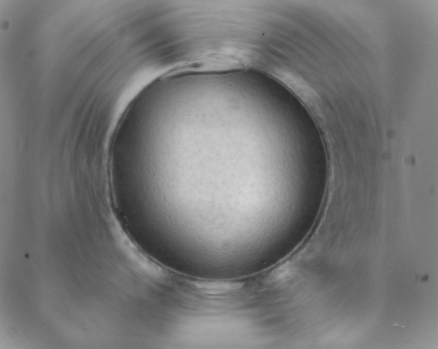 X0000088631200200706081539