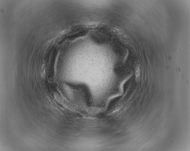 X0000088631204200706081538