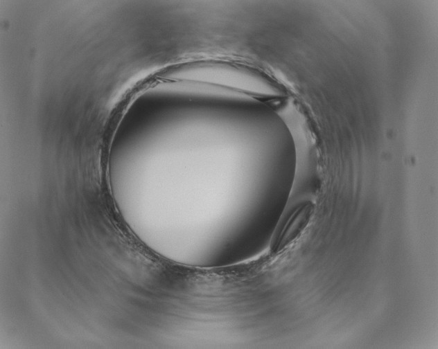 X0000088631214200706081538