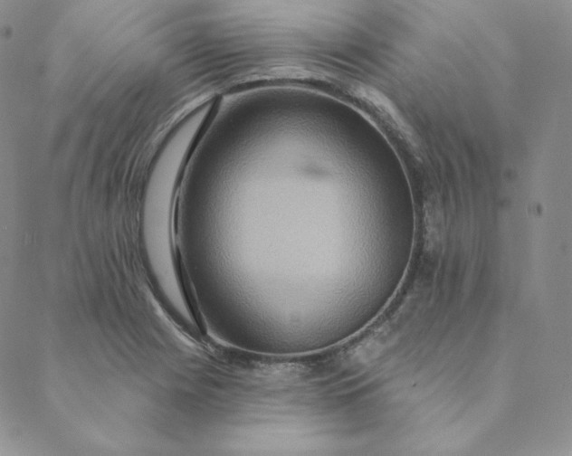 X0000088631225200706081538