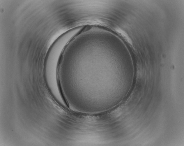 X0000088631226200706081538