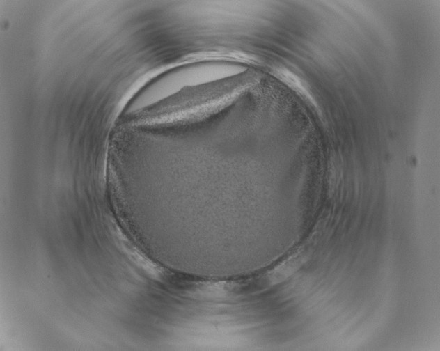 X0000088631228200706081539