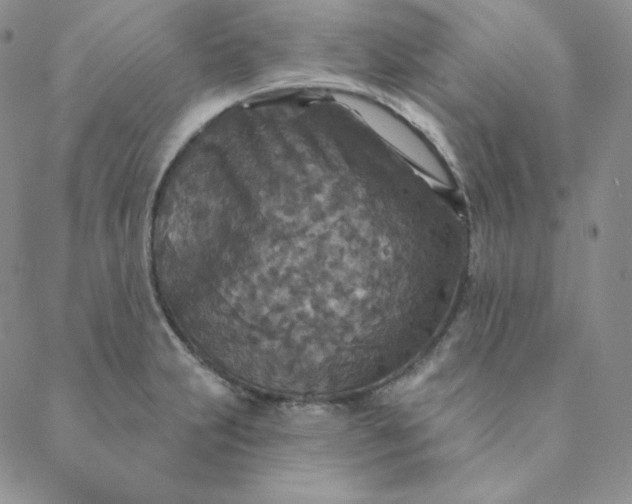 X0000088631231200706081539