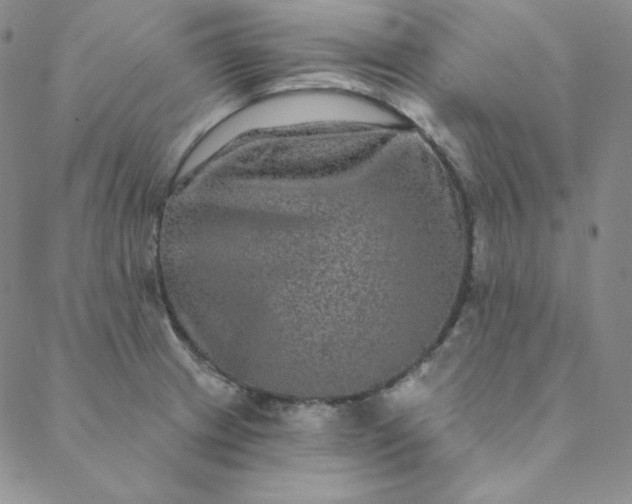 X0000088631233200706081539