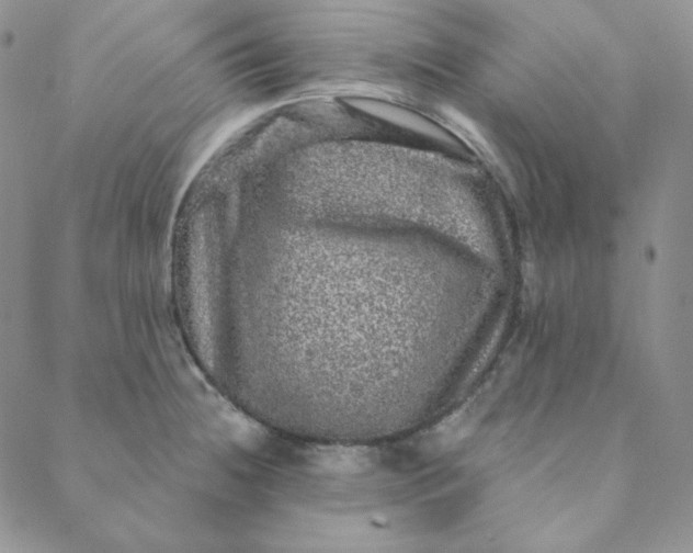 X0000088631236200706081539