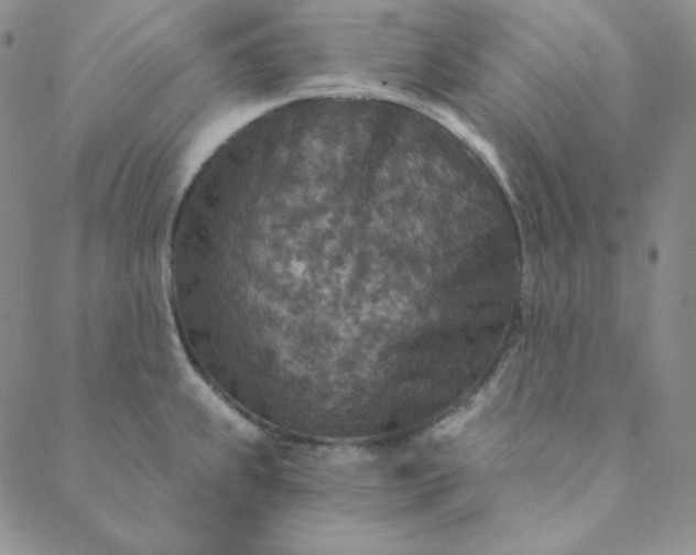 X0000088631239200706081539