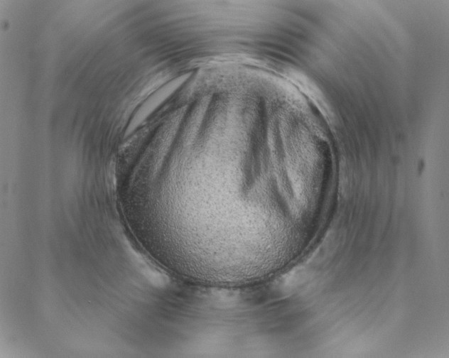 X0000088631241200706081539