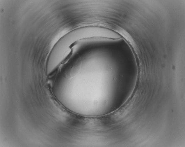 X0000088631242200706081539
