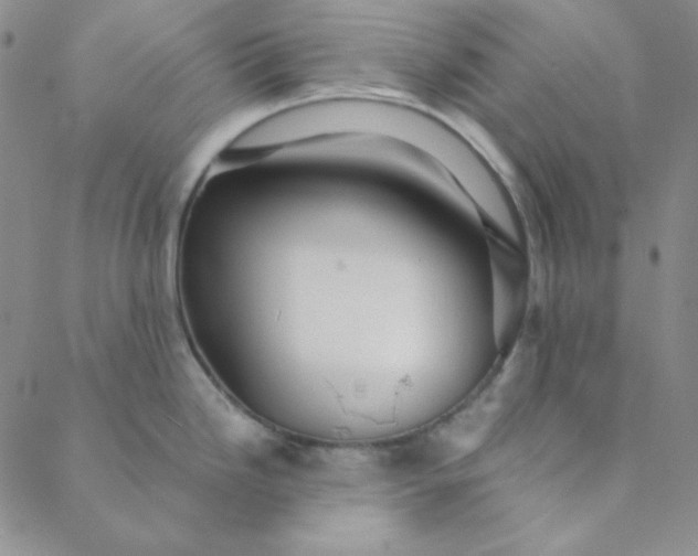 X0000088631246200706081539