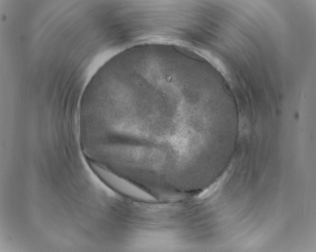 X0000088631247200706081539