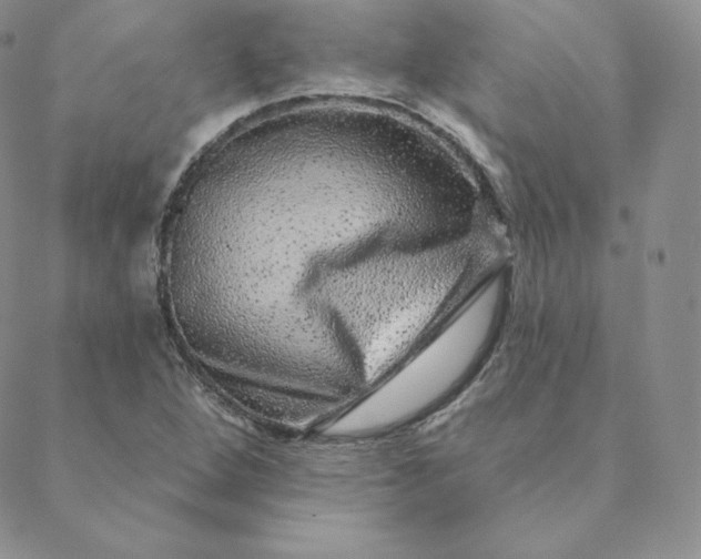 X0000088631264200706081538
