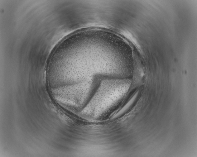X0000088631268200706081538