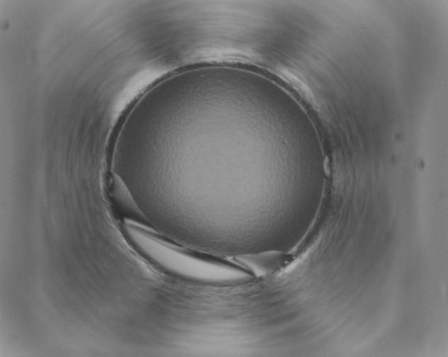 X0000088631277200706081538