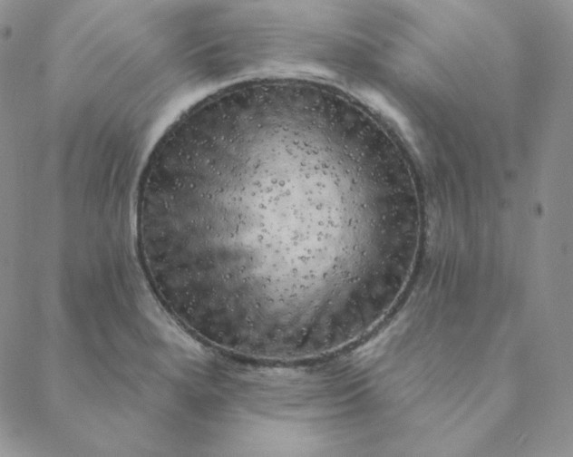 X0000088631280200706081538