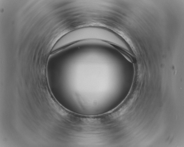 X0000088631281200706081538