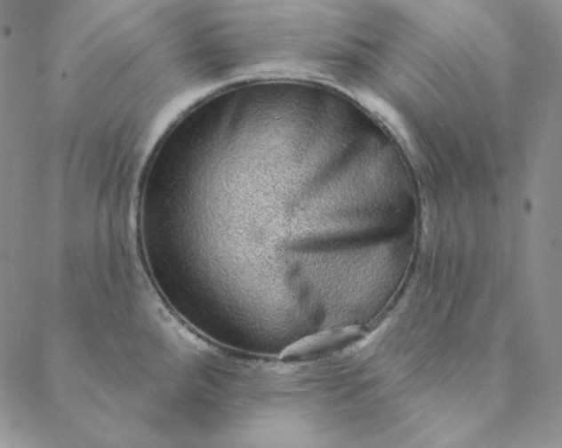 X0000088631288200706081537
