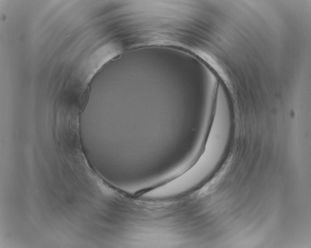 X0000088631289200706081537