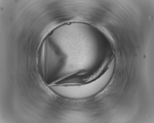 X0000088631292200706081537