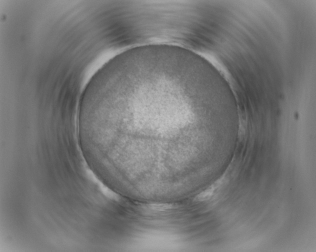 X0000088631294200706081537