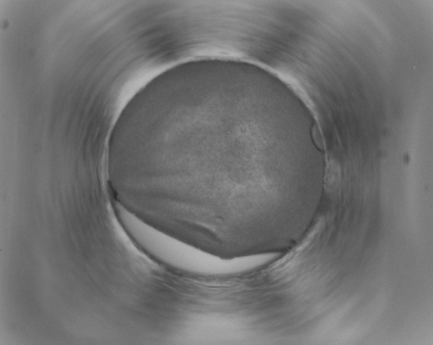 X0000088631295200706081537