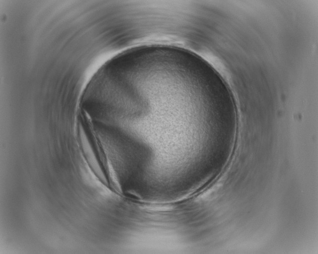 X0000088631296200706081537