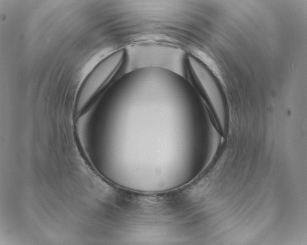 X0000088631330200706081537