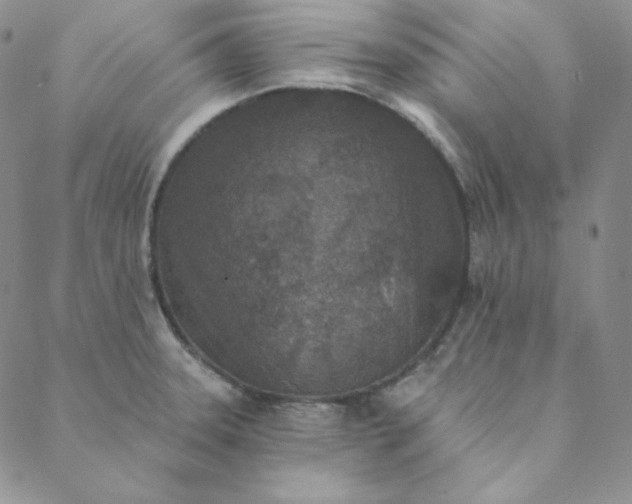 X0000088631331200706081537