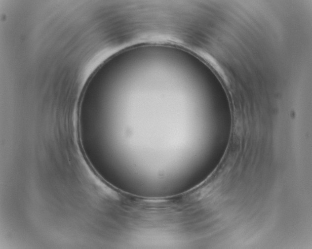 X0000088631343200706081537
