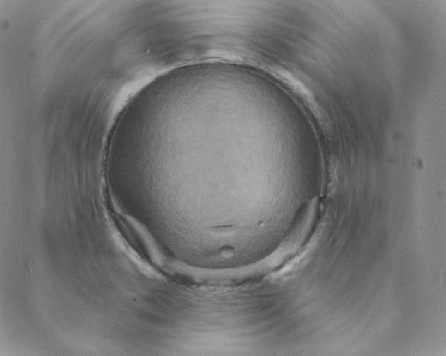 X0000088631373200706081536