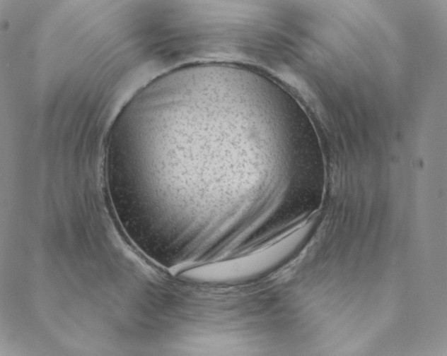 X0000088631374200706081536