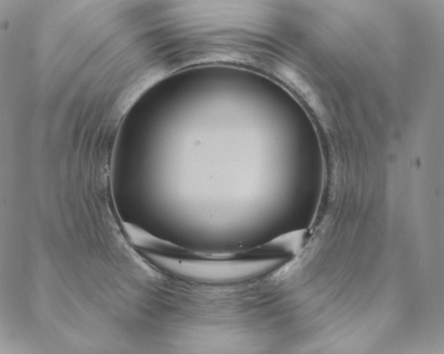 X0000088631377200706081536