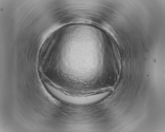 X0000088631379200706081536