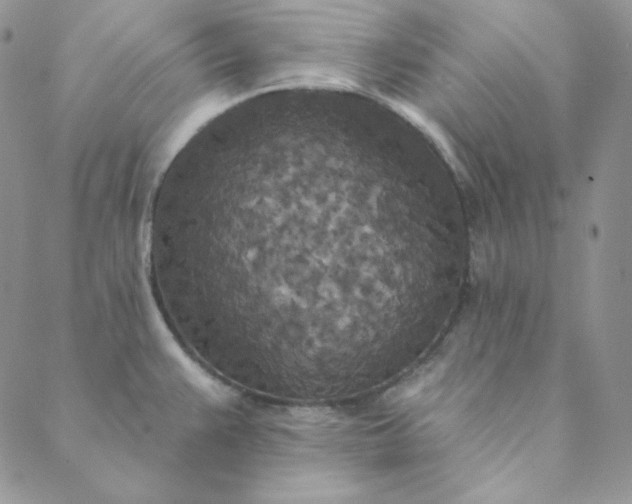 X0000088631383200706081536