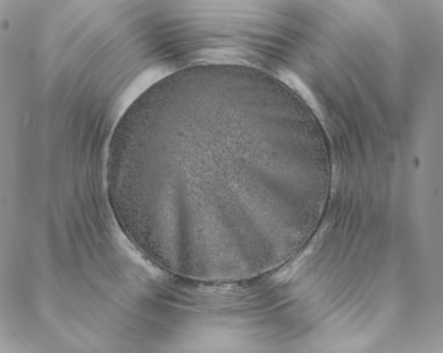 X0000088631386200706081536