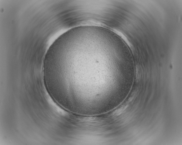 X0000088631387200706081536