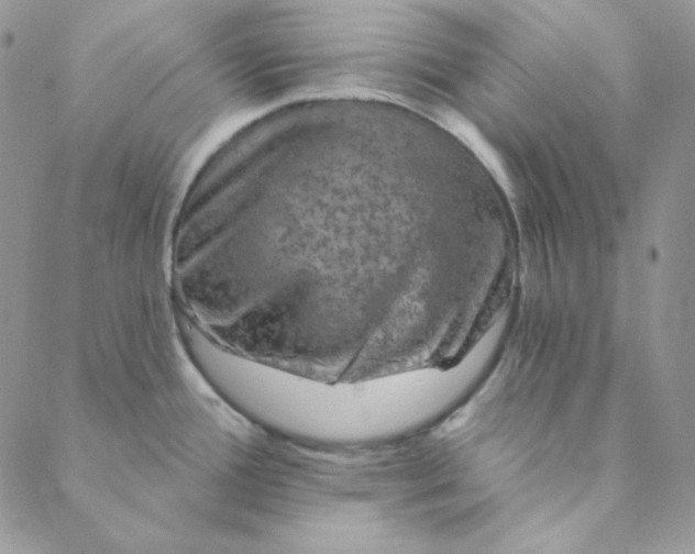 X0000088631388200706081536