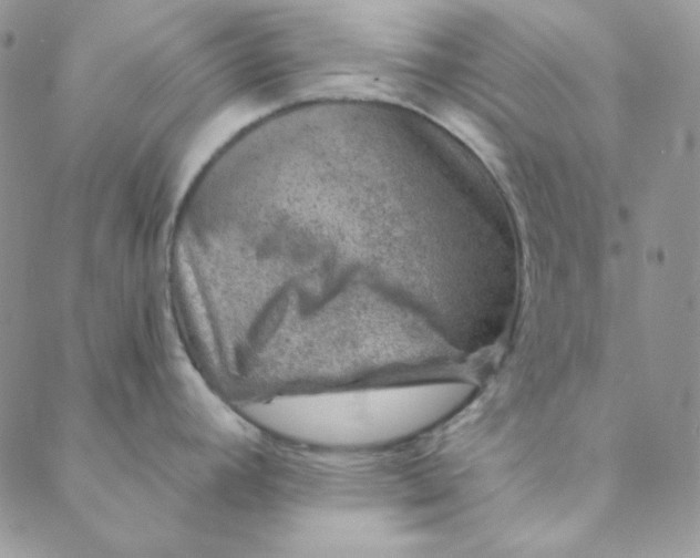 X0000088631392200706081536