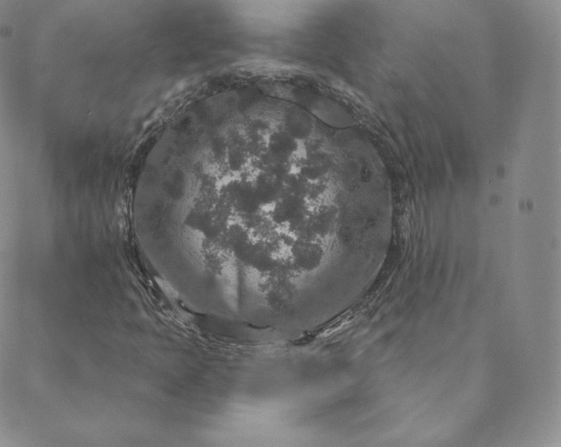X0000088631397200706081535