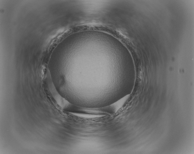 X0000088631398200706081535