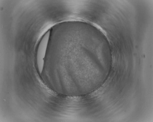 X0000088631415200706081535