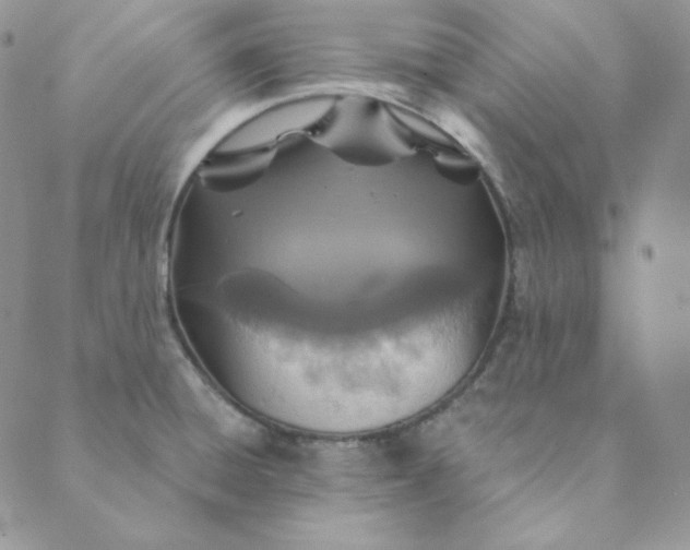 X0000088631428200706081536