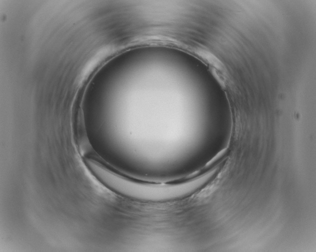 X0000088631430200706081536