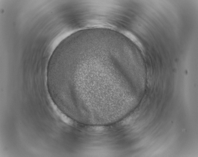 X0000088631431200706081536
